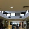 Black Pulsar in shopping mall 1200 x 700