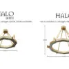 Confronto tra le taglie di Herschel Halo Mini