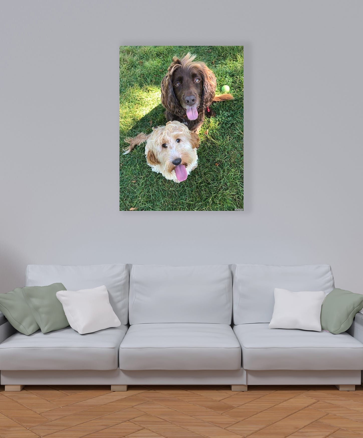 Immagine di due cani su un pannello in uno spazio abitativo moderno