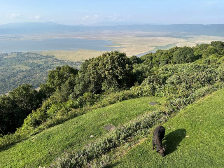 Ngorongoro Lodge Meliá, Tanzania: riscaldamento a infrarossi sostenibile per hotel di lusso