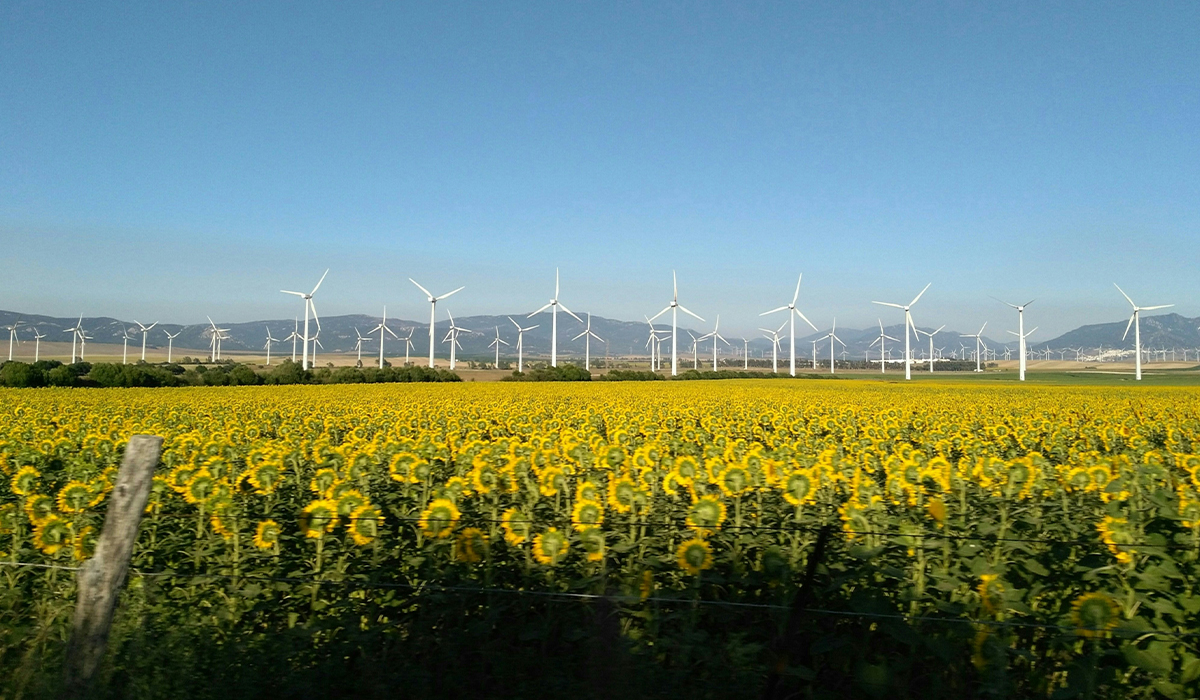 Wind Turbines