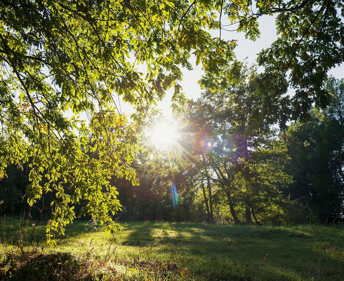 L'infrarosso è lo stesso calore che percepiamo in un ambiente riscaldato dal sole.